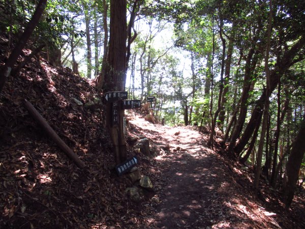 登山道